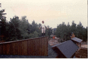 2-picture9.gif