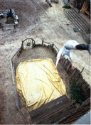 2-picture5.gif