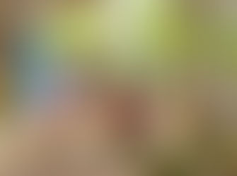 What is the Best Way to See the Mekong Delta?