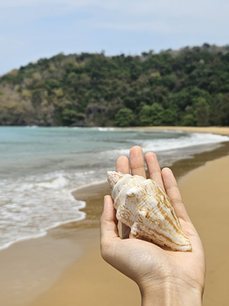 Con Dao island - Ultimate Travel Guide 2025