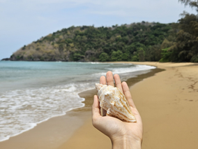 Con Dao island - Ultimate Travel Guide 2025