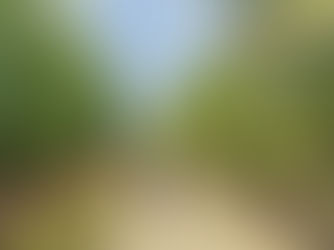 Is It Worth Going to Mekong Delta?