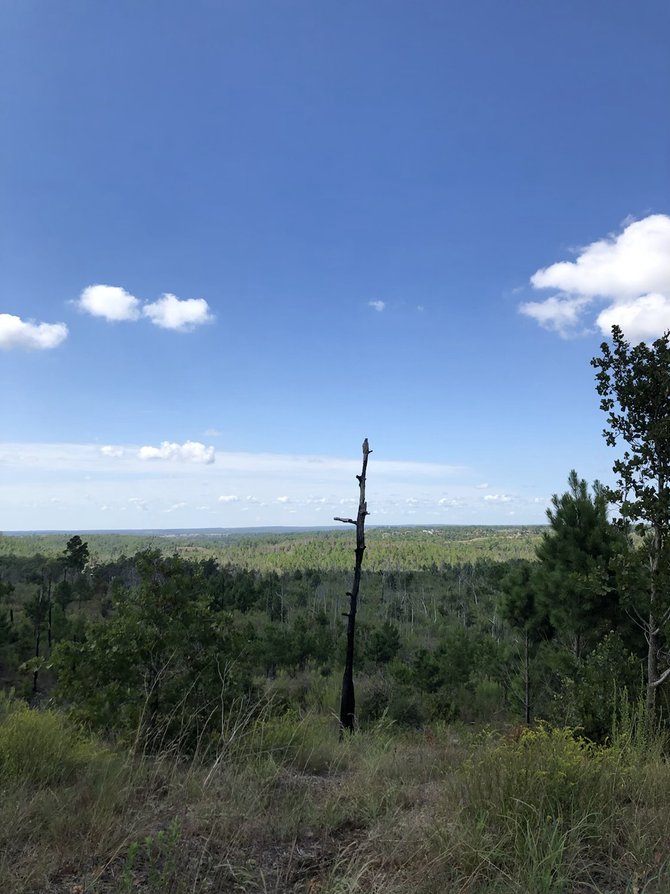 Photos from Bastrop State Park