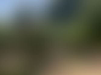 カカオ農園IoT始動。植物に派生する病原菌発生メカニズム解析の難題に挑む
