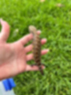 Thumbnail: Het lava 