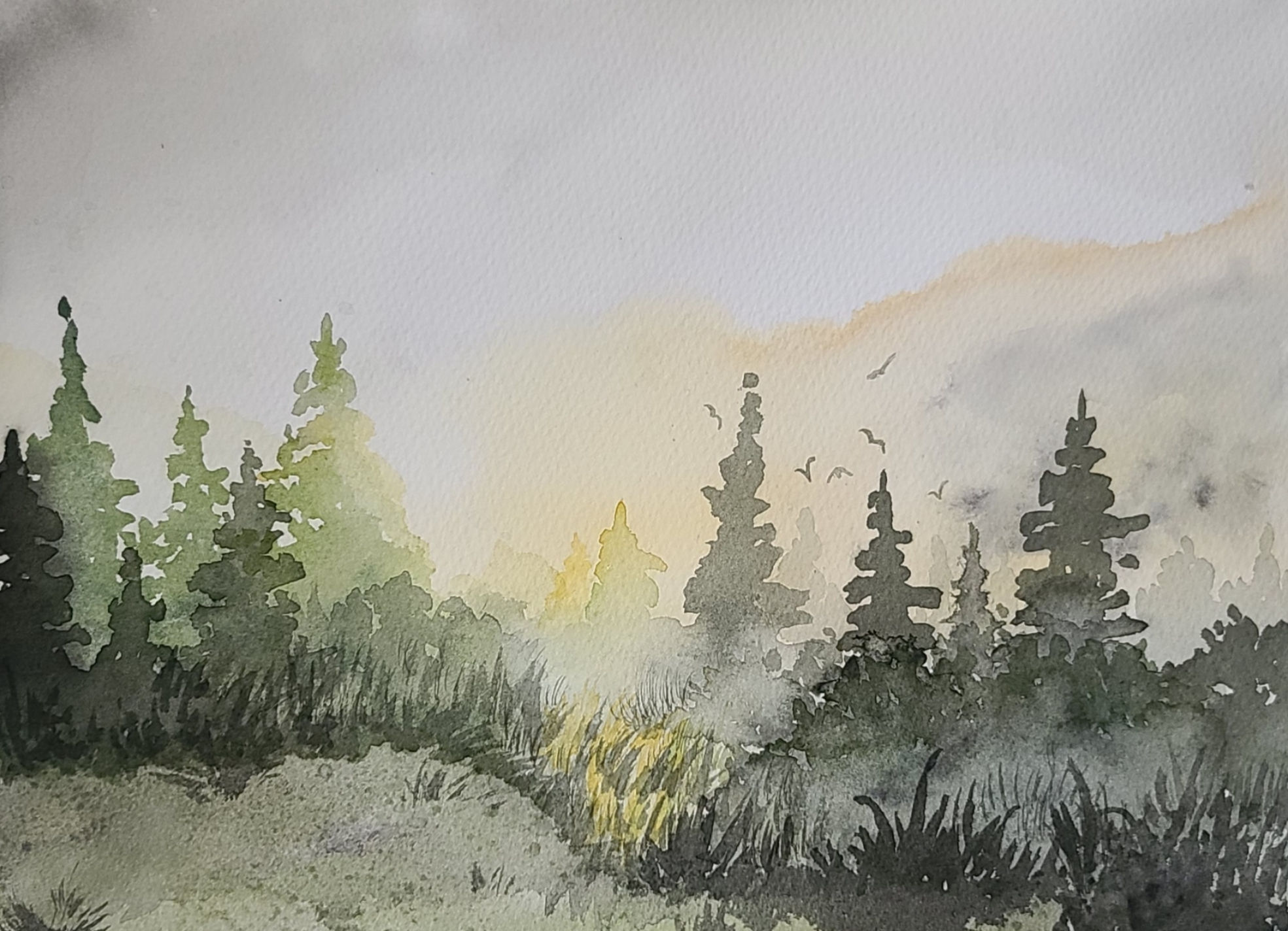 Sunrise Forest - 9 x 12, Watercolor - SOLD