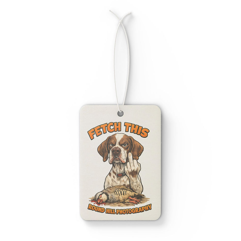 Thumbnail: Car Air Freshener