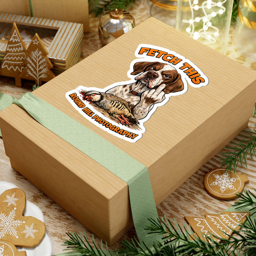 Thumbnail: Sticker — "Fetch This" Hunting Dog Sticker (Round Hill Photography)