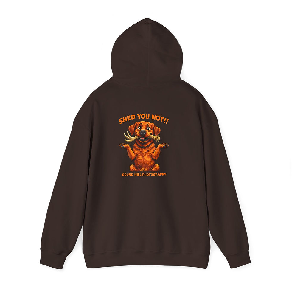 Thumbnail: "Shed You Not!" - Round Hill Photography Hoodie Pullover