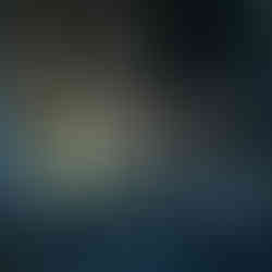 Woman installing van interior window covers