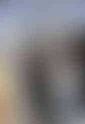 Woman installing van window shades