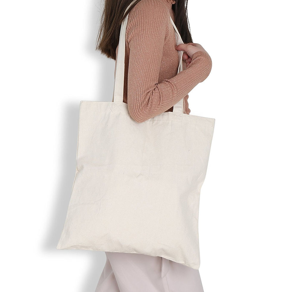 White Canvas Bags 2 Pack, LEMESO Heavy Duty Cloth Shopping Bags-Reusable & Porta
