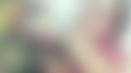 Come Visit Albany's one and only "Garden Guru" Ann J Kelly