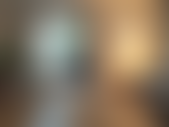 Latest Advances in Gerontechnology for Healthy Aging