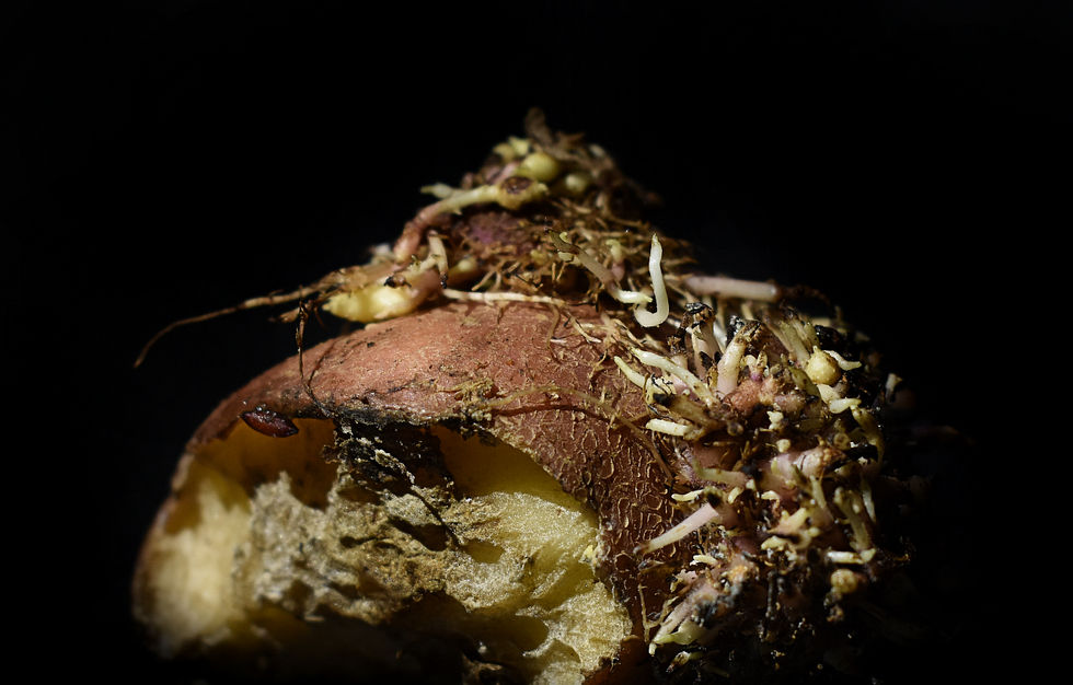 INTO THE BLACK.17.jpg