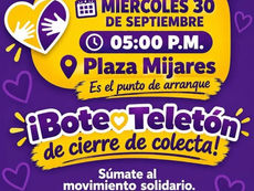 Solidarity Cruise to Conclude Teletón Fundraising Campaign in Los Cabos