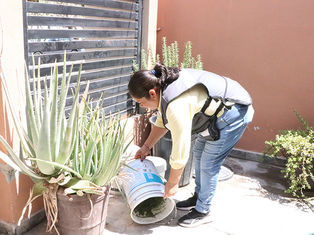 Urgent Call for Enhanced Sanitation in Baja California Sur Following Recent Rains