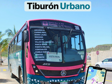 Tiburón Urbano: La opción ideal para estudiantes en su regreso a clases