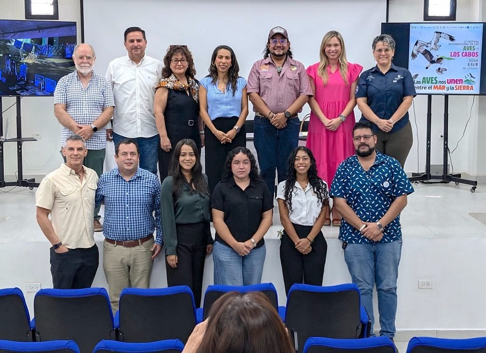Los Cabos to Host Second International Bird Festival in 2026