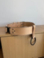 Axe Belt