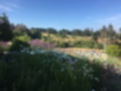 cumbria.jpeg