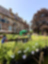 IMG_9041.JPEG