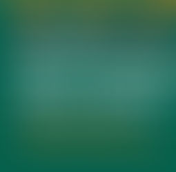 Video Interview with Mneesha Gellman