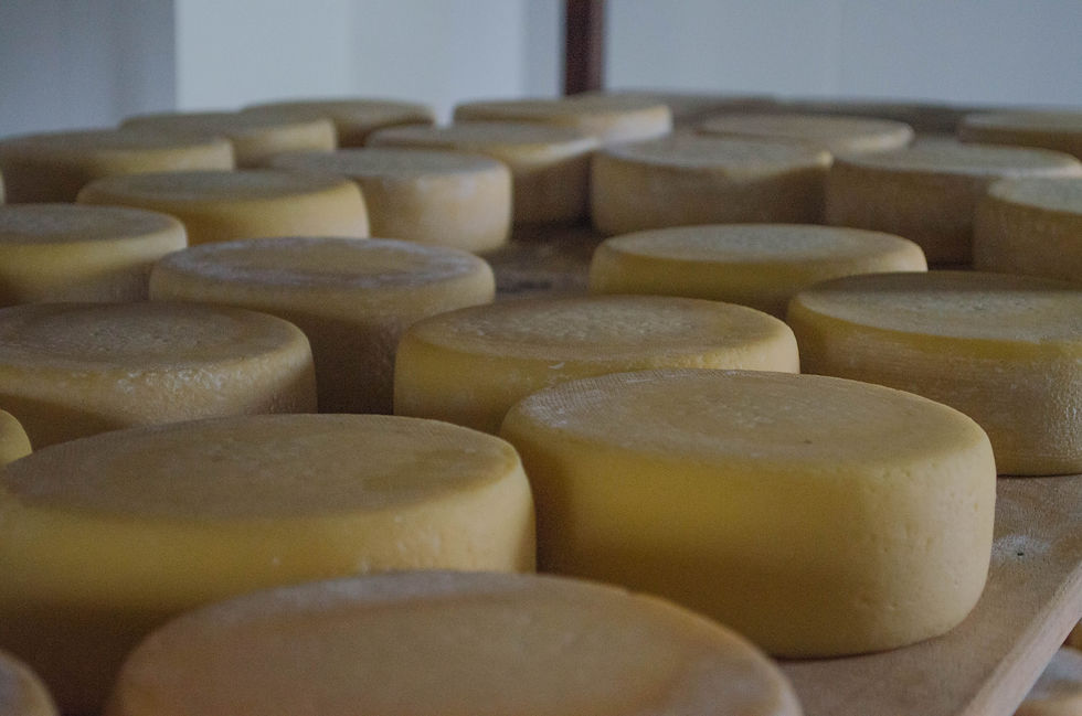 Queijo Canastra