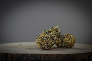 INDICA CANNABIS