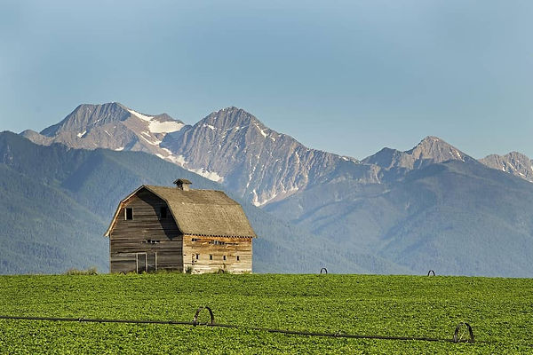 Montana Statewide bail help