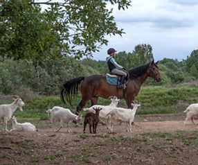 WhatsApp Image 2025-12-22 at 23.29.06.jpeg