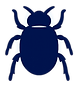 General pest control insect icon