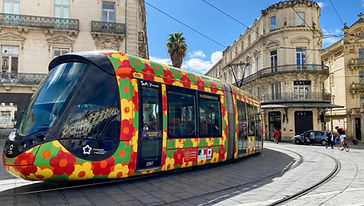 Montpellier centre.jpg