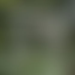 Artistas Selecciondos 4ta Edición R.A.R.O. Bogotá