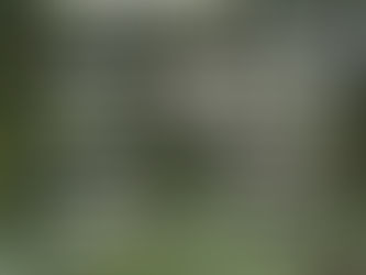 Artistas Seleccionados | 4ta Edición R.A.R.O. Bogotá