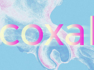 Inauguración "Coxal", Muestra de la 3ra Fecha de R.A.R.O. Buenos Aires 2025