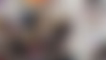 Procesos de la 3ra Edición de R.A.R.O. Bogotá