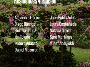 Artistas seleccionados 4ta Edición Residencia-Micro A Isla