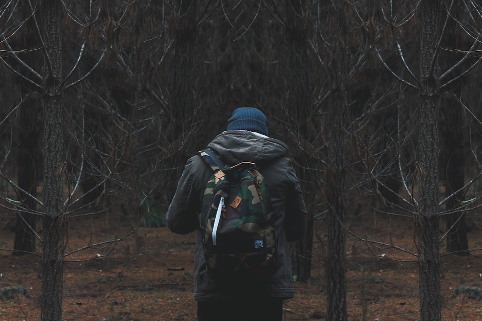 Hiker