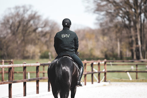 BRV Horses Contact.jpg