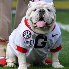 Uga X dead at 70, in dog years that is