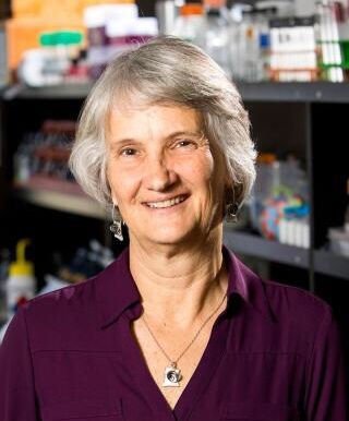 UGA professor recognized for contributions to microbiology