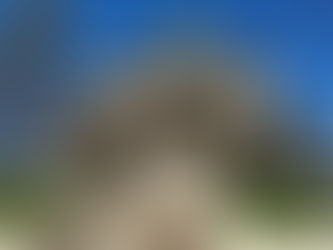Investigation finds no evidence of Athens City Hall sexual assault