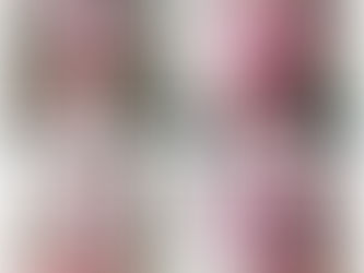 Four arrested after fighting breaks out in Wire Park