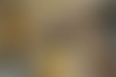 Snake Day this weekend at Sandy Creek Nature Center