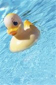 Stay cool at the pool