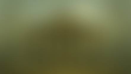 When  will the horror end?