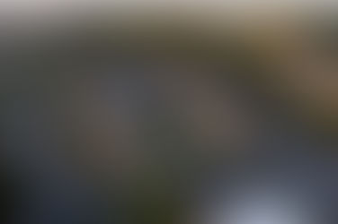 Athens man dies after UGA construction site accident