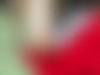 Scout the Doodle Dog discharged from UGA vet hospital after receiving lifesaving care