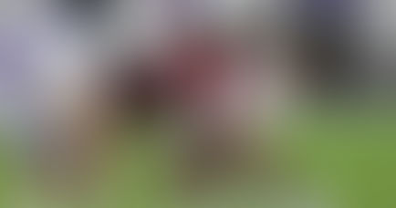 Georgia Lands Big Transfer Defensive Tackle